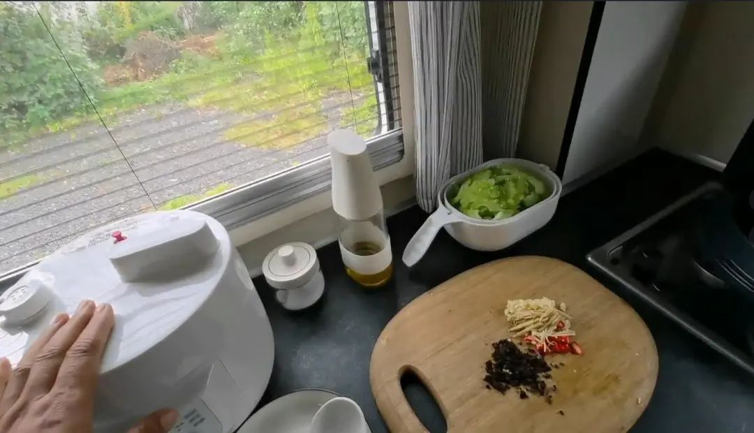 58歲的她，自駕房車旅居，一人兩犬，活成了自己喜歡的樣子